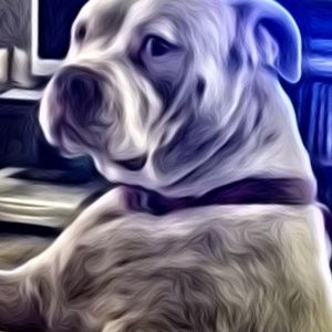 Meet your Posher, Joseph